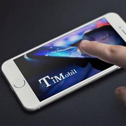 TiMobil, Timişoara