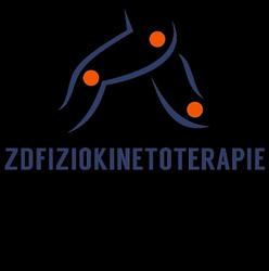 ZD Fiziokinetoterapie, Ineu