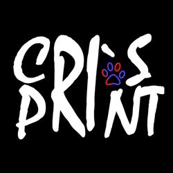 CrisPrint, Huşi