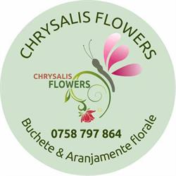 ChrysalisFlowers, Galaţi