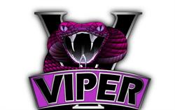Viper Karate Timisoara