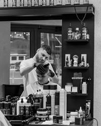 Dum HairSalon, Câmpeni