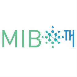 MIB TH S.r.l., Iaşi
