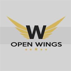 Open Wings Studio, Satu Mare