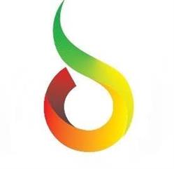 NETVOLT universul electricelor (Constanta)