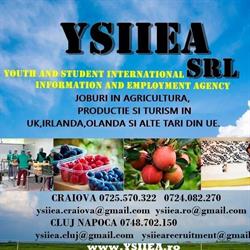 Ysiiea Ysiiea, Craiova