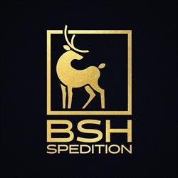 BSH Spedition SRL, Carei