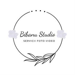 Bibanu Studio, Târgu Jiu