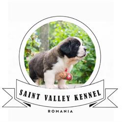 Saint Valley Kennel Romania, Şimleu Silvaniei