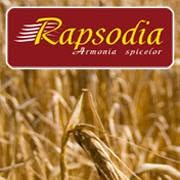 Rapsodia Armonia spicelor, Timişoara