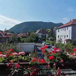 Casa Bologna, Braşov
