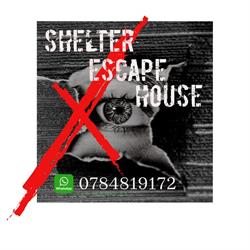Shelter Escape House, Timişoara
