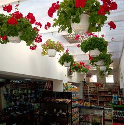 Carmela Market, Săcele