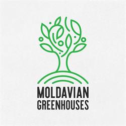 Moldavian Greenhouses, Dorohoi