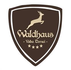 Pensiunea Waldhaus, Vatra Dornei