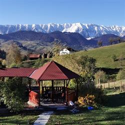 Nona Highland Home - cazare Drumul Carului- Moieciu