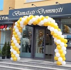 Bunătăţi Domneşti, Botoşani