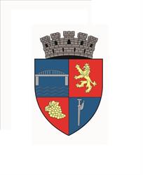 Primaria Municipiului Medgidia