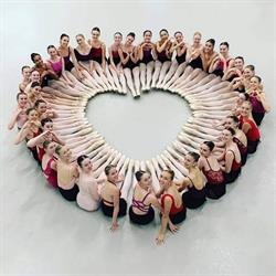 Lana Dance Studio, Târgu Mureş