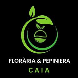 Pepiniera & Floraria Caia, Vişeu de Sus