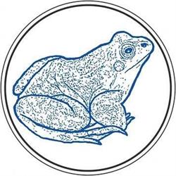 Blue Frog Film & Media, Miercurea-Ciuc