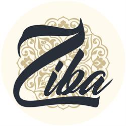 Ziba, Păuleşti