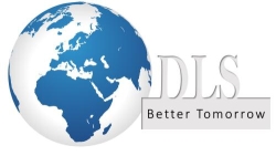 Denluk Solutions, Modelu