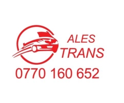 Ales Trans, Timişoara