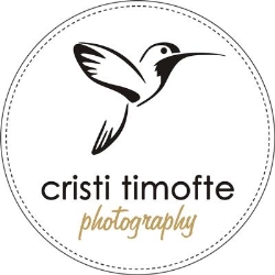 Cristi Timofte, Iaşi