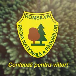 Ocolul Silvic Chisineu-Cris