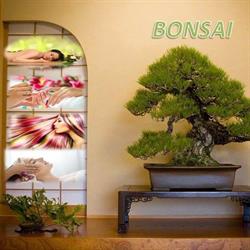 Salon Bonsai (Salon de înfrumuseţare), Braşov