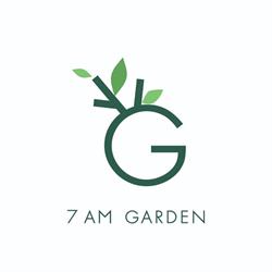 7AM Garden, Chitila