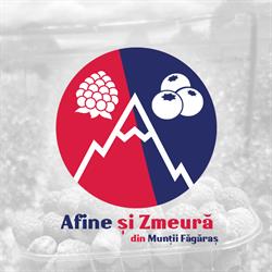 Afine si Zmeura din Muntii Fagaras, Pojorta