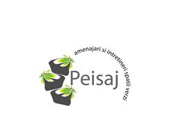 Peisaj_srl, Baia Mare