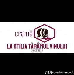 La Otilia, Otirom Rovinota, Nehoiu