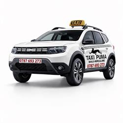 Taxi Puma Baile Herculane