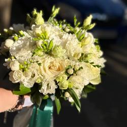 Floraria Laura, Brăila