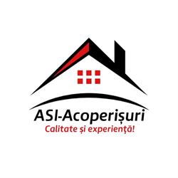 Asi-Acoperisuri, Roman