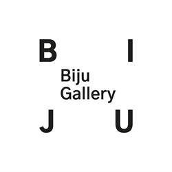 Biju Gallery, Cluj-Napoca