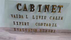 Expert contabil - expert evaluator Vaida L Liviu Calin, Dej