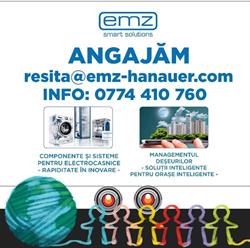 emz HANAUER ROMANIA S.R.L., Reşiţa