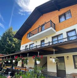 Cabana Iulia, Borşa