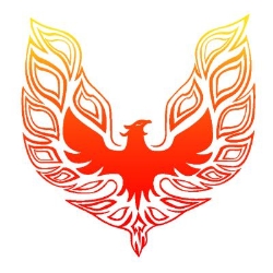 Phoenix therapy - Cabinet terapeutic, Bucureşti