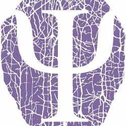 Department of Psychology - West University of Timisoara
