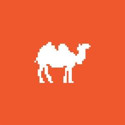 CamelWeb Creations, Târgu Mureş