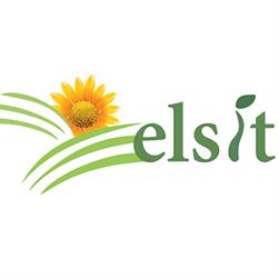 Elsitshop, Ciochina