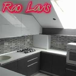 RaoLavis srl., Timişoara