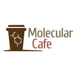 Molecular Specialty Coffee, Timişoara