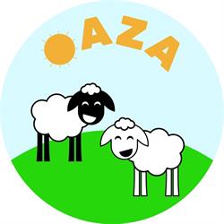 Asociatia Oaza, Arad