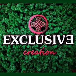 Exclusive Creation, Botoşani